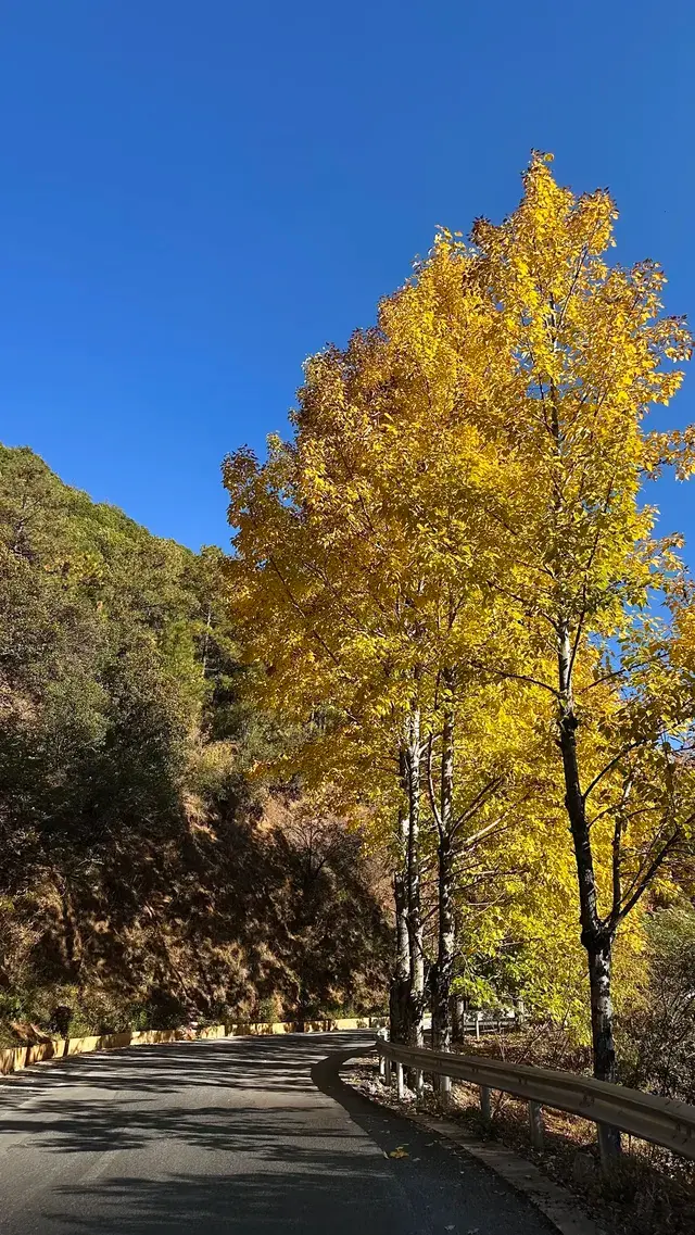 滬滸湖 你美！來瀘滸湖真的不用做太多攻略