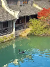 12月！預計會有10萬人來這裡…