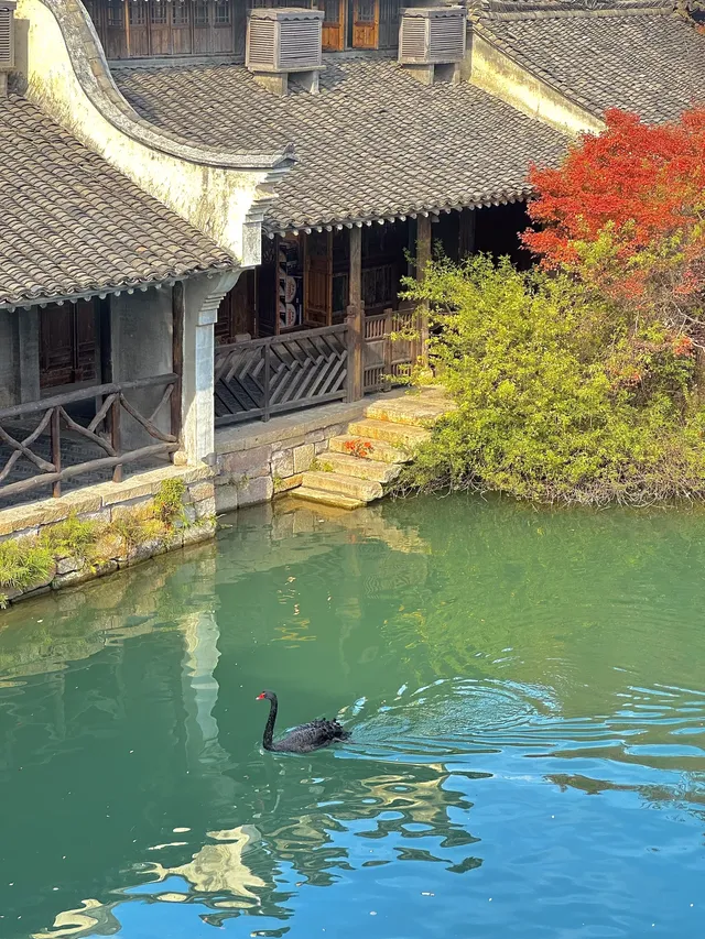 12月！預計會有10萬人來這裡…