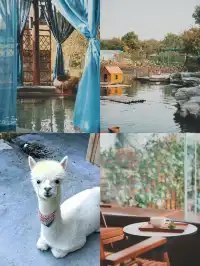 帶父母出遊,這裡成了他們的“誇誇群”