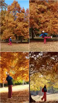 終於等來上海天花板水杉林的封神期附攻略