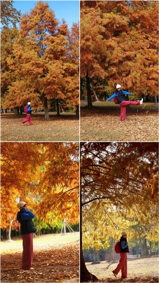 終於等來上海天花板水杉林的封神期附攻略 終於等來上海天花板水杉林的封神期附攻略