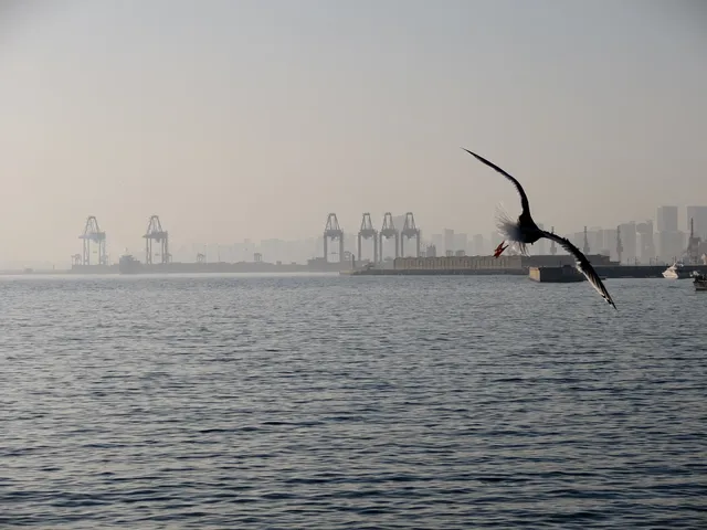 無考試週末或許可以出門走走 無考試週末或許可以出門走走