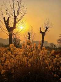 漢風起兮城 長安未央宮