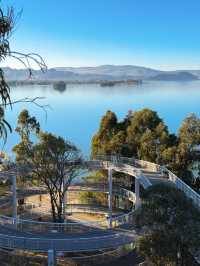 走進畫裡|滇池邊的樹與水與風都是自由的