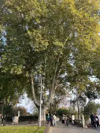 好天氣在玄武湖，度過無所事事的下午