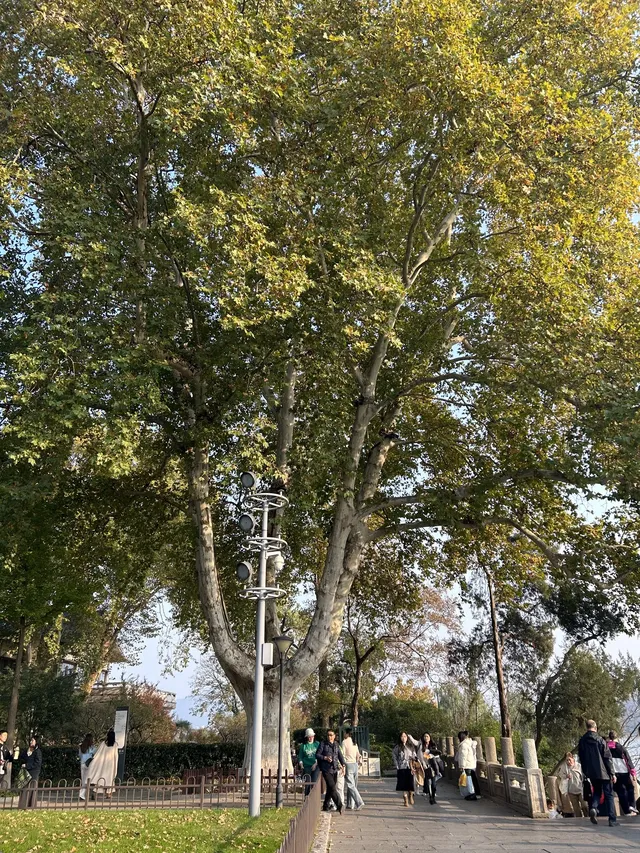 好天氣在玄武湖，度過無所事事的下午