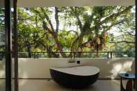 藏在了雨林秘境裡