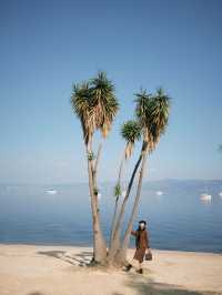 撫仙湖治癒之旅|發呆一下午,讓時間靜止在澄澈藍裡