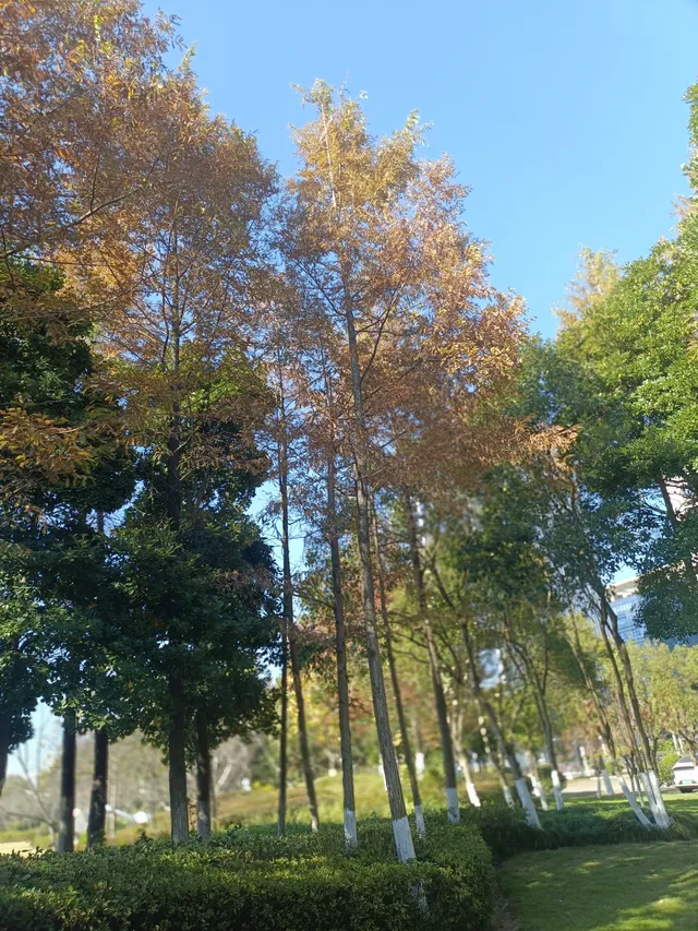 真心建議:週末帶娃,解鎖輕量化自然教育 真心建議:週末帶娃,解鎖輕量化自然教育