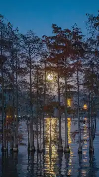 真不是AI我拍到了洱海月升PLUS