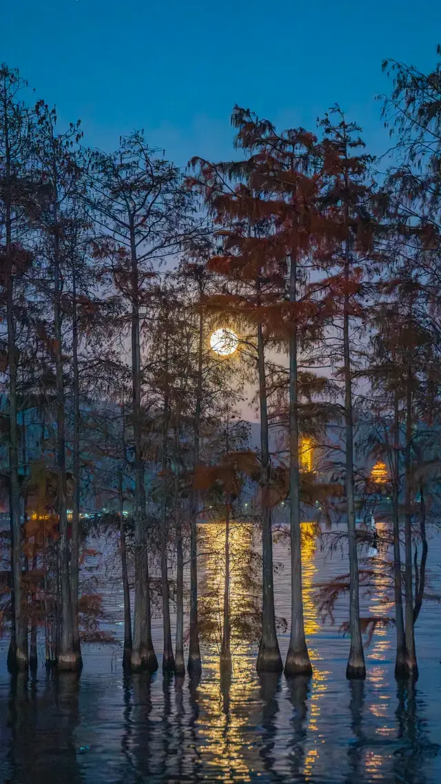 真不是AI我拍到了洱海月升PLUS 真不是AI我拍到了洱海月升PLUS