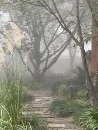 宮崎駿同款天空之城!我在哀牢山找到了神仙民宿