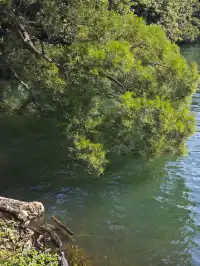 新手徒步路線|城門水塘(附攻略)