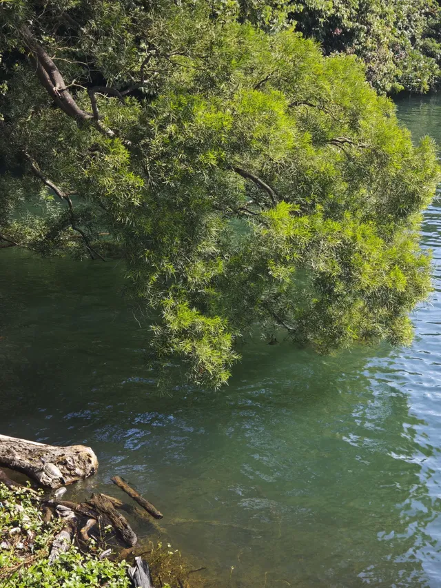 新手徒步路線|城門水塘(附攻略) 新手徒步路線|城門水塘(附攻略)