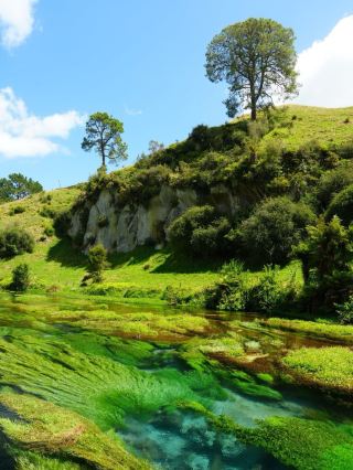 บลูสปริงส์ในนิวซีแลนด์เป็นสถานที่ที่ห้ามพลาด! เพดานสีฟ้าที่ร้าน Tiffany's สวยงามมาก เหมาะสำหรับการถ่ายรูป!