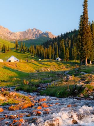 답답함을 느낀다면 신장으로 가세요, 그곳은 언제나 햇빛으로 가득합니다