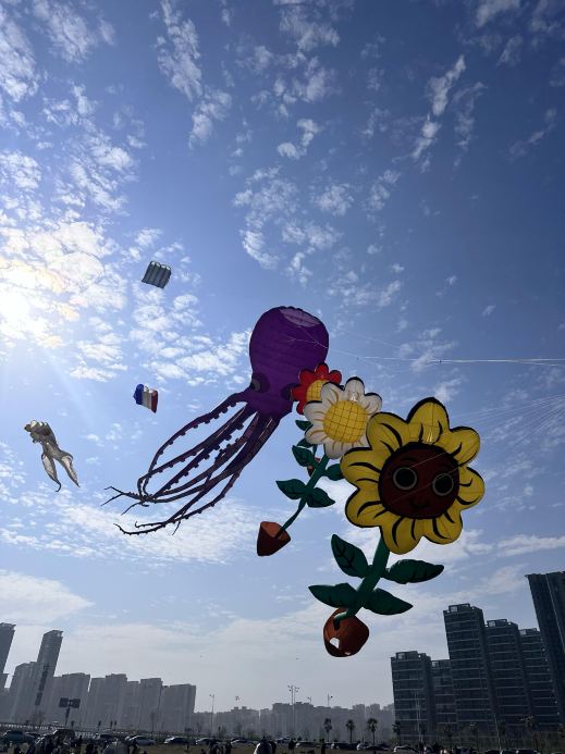 潍坊4月のトップイベント｜国際凧揚げ大会が熱狂！百カ国の凧が空を