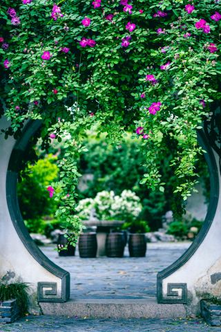 バラの花が古い庭を満たす｜常熟のこの風情ある庭園は美しすぎて反則級