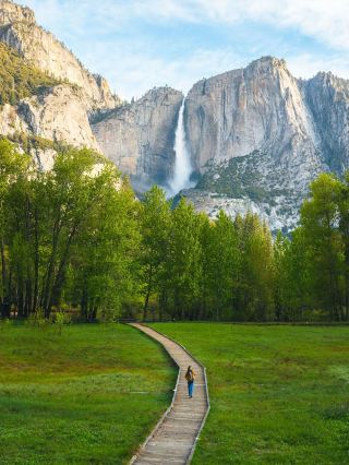 Chinese-speaking driver-guide tours Yosemite! Customized charter car around San Francisco