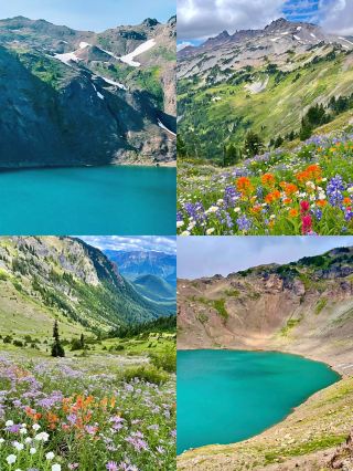 North American wilderness hiking flower sea secret spot