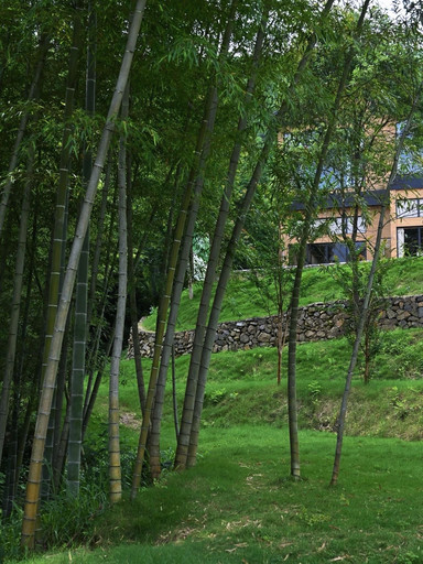 云野有枫·微度假村落(大围山麓民宿) 参考图 3
