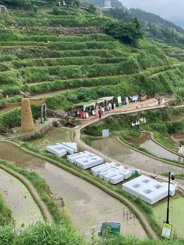 :被國家地理評為「中國最美梯田」!雲和梯田保姆級攻略|Trip.com 雲和