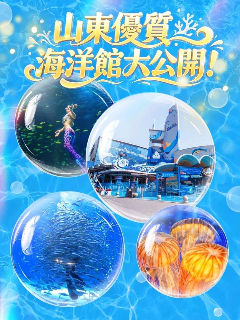 Family Trips from Hong Kong & Macau to Shandong: Must-Visit Aquariums!