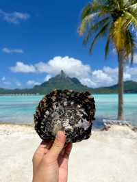 海島愛馬仕波拉波拉｜世間最浪漫的性感海島   被稱為世界最性感海島之一 真正來過才懂，這裡就是人間
