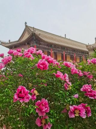 ถ่ายรูปสวยกับกำแพงแดงวัดโบราณที่เขาซีหยานซาน