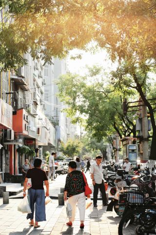 合肥六安路｜老城梧桐 治癒系城市慢漫遊
