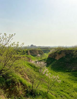 Персиковые цветы и древняя архитектура: весенний эксклюзив