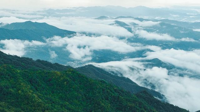 雲浮羅定風車山!廣東免費雲端秘境,太美了