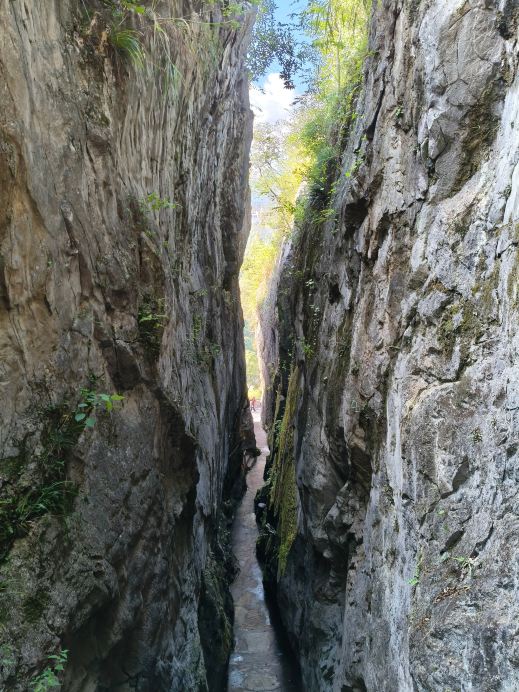 黄山の自然の驚異、石林ツアー | Trip.com 黄山
