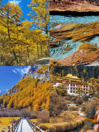 Spent three days in Daocheng Yading, and the snow-capped mountains were even closer than in the photos.