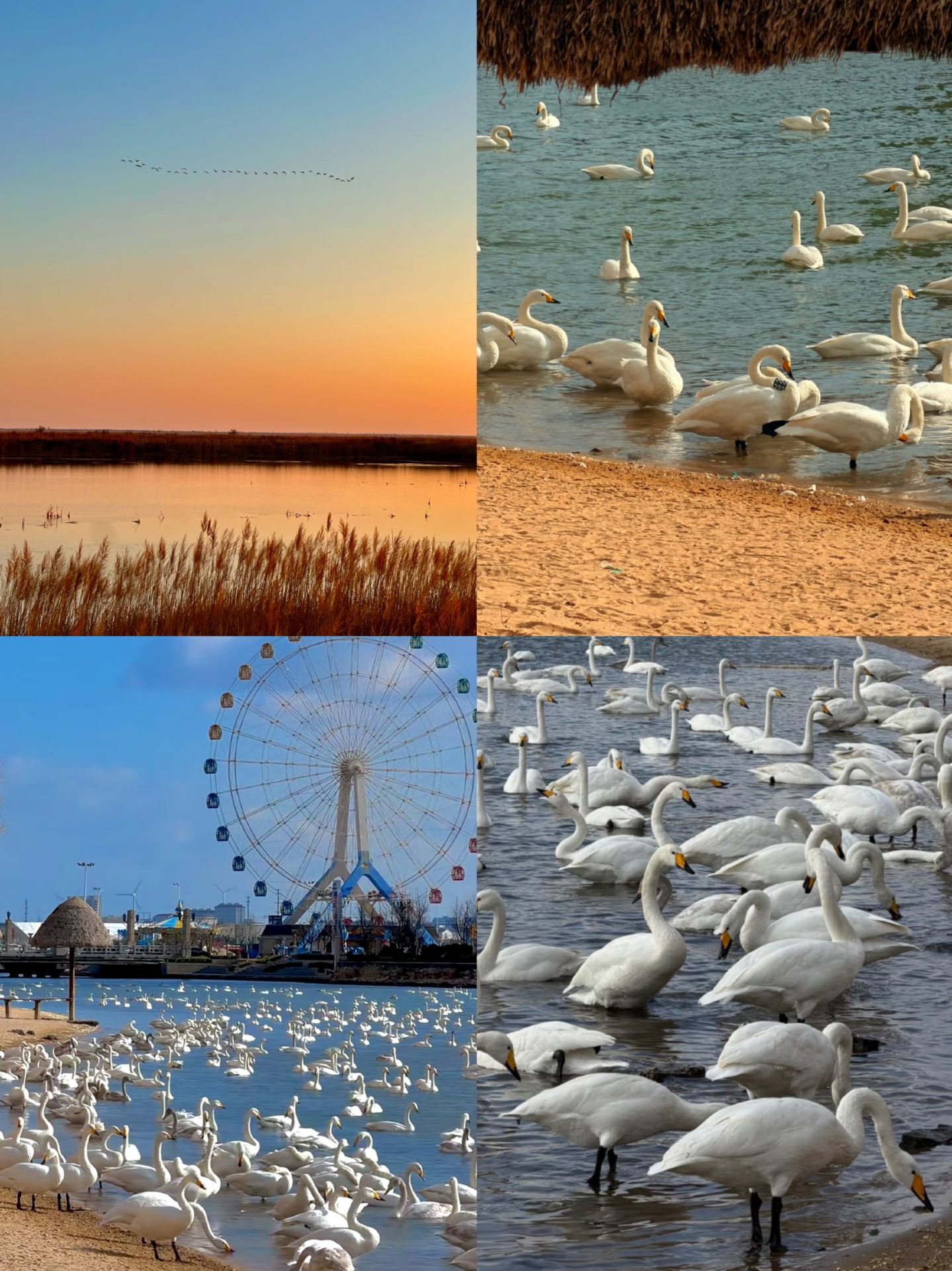 Four hidden gems for autumn tourism in Shandong