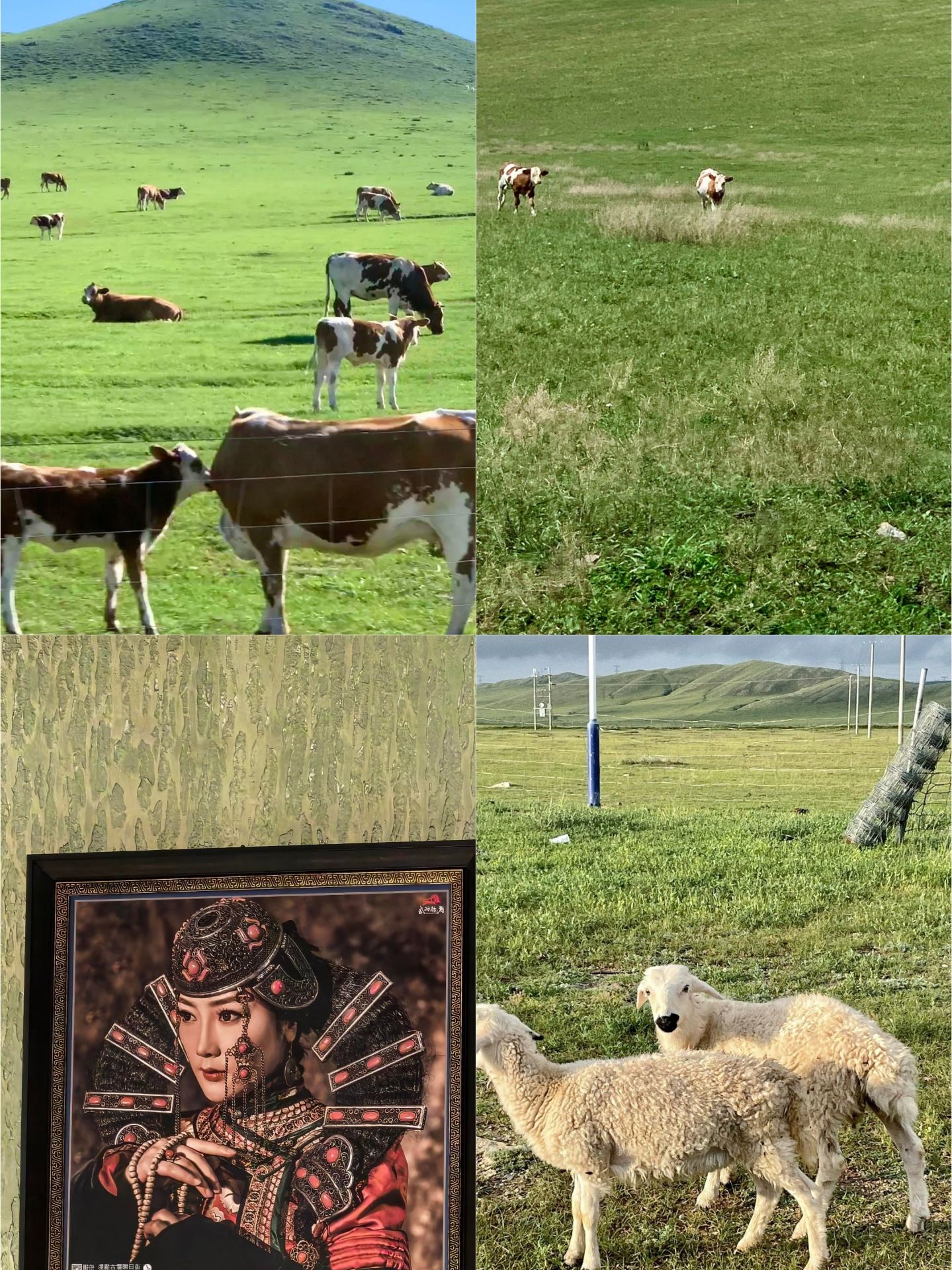 Spent 3 days in Xilinhot, and my perspective on spending was shattered