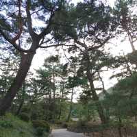 栗林公園　花園亭　焼きたてみたらし団子