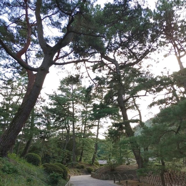 栗林公園　花園亭　焼きたてみたらし団子