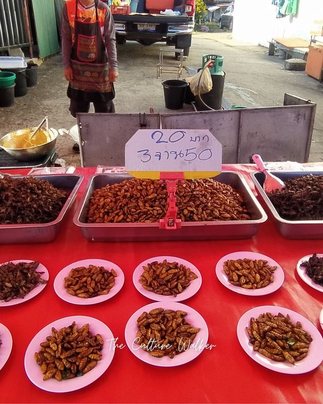 ตลาดริมโขง ดูของป่าจากฝั่งลาว ที่นครพนม 