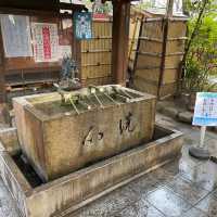 愛宕神社で出世の階段を登る