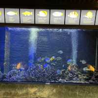 Maritime Museum Macao 
