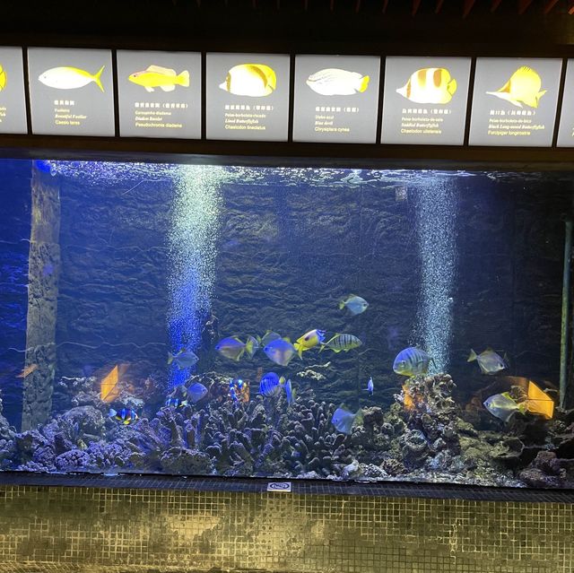 Maritime Museum Macao 