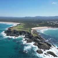 澳洲｜新南威爾士州｜Shelly Beach 來這邊與Kangaroo 巧遇吧