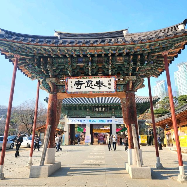 진달래,매화,산수유🌺🌼🌸 다있는 서울속 사찰 "봉은사"