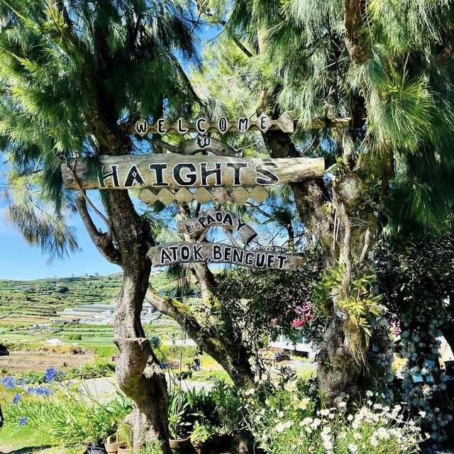 Sakura Park & Haight’s Place in Atok Benguet