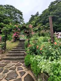 【癒しの神戸】ハーブが香る神戸布引ハーブ園