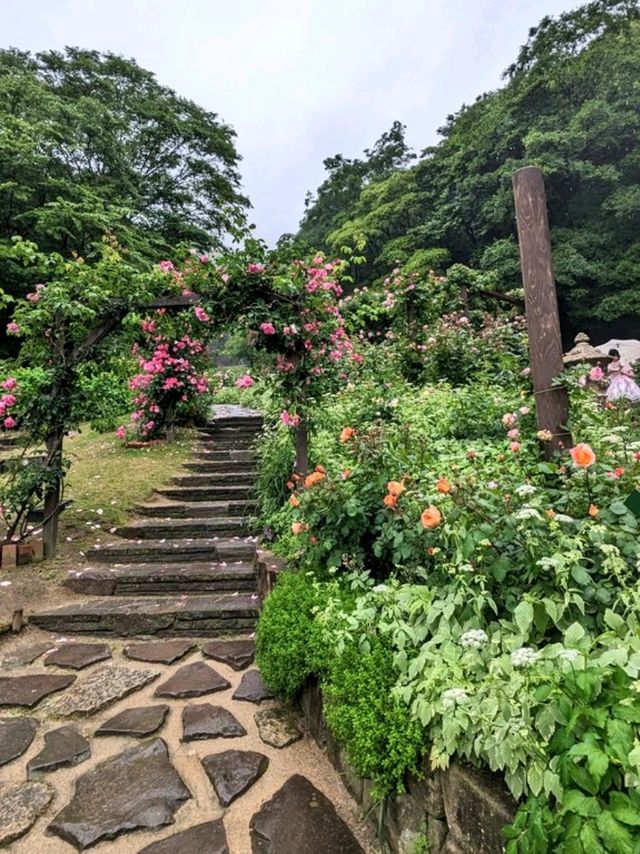 【癒しの神戸】ハーブが香る神戸布引ハーブ園