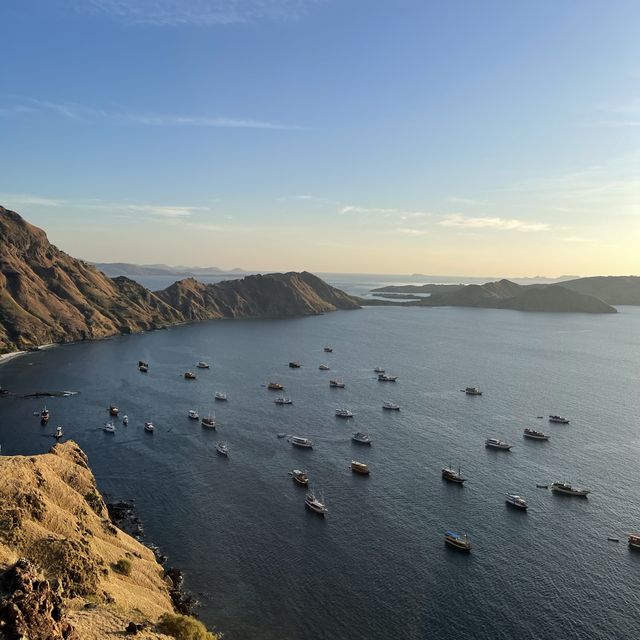 Yellow Season in Pulau Padar