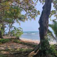 Best View in Mambruk Hotel & Convention - Anyer